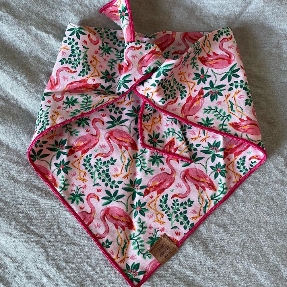 The Foggy Dog Bandana - Picture 4 of 12